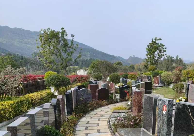 福瑞1区